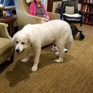 Meet your Posher, Erlinda